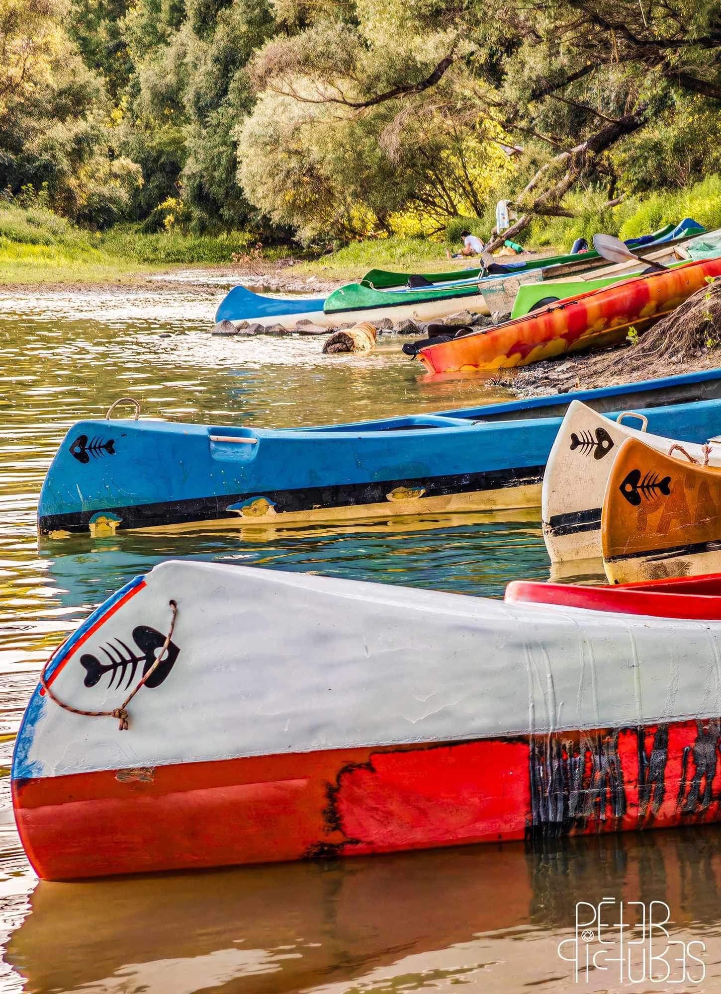 Kenu kölcsönzés a Dunán a Nomád Bárból