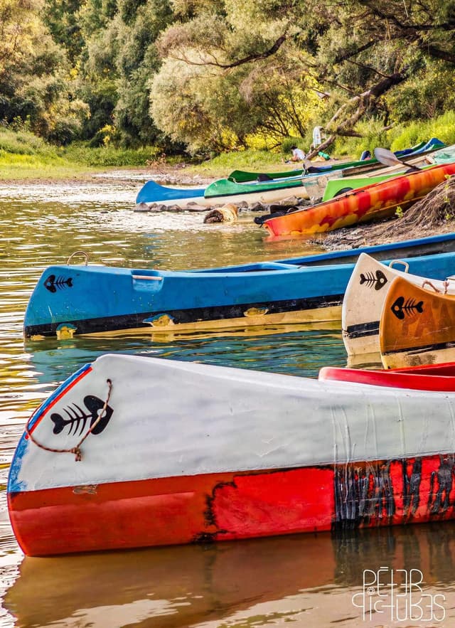 Kenu kölcsönzés a Dunán a Nomád Bárból