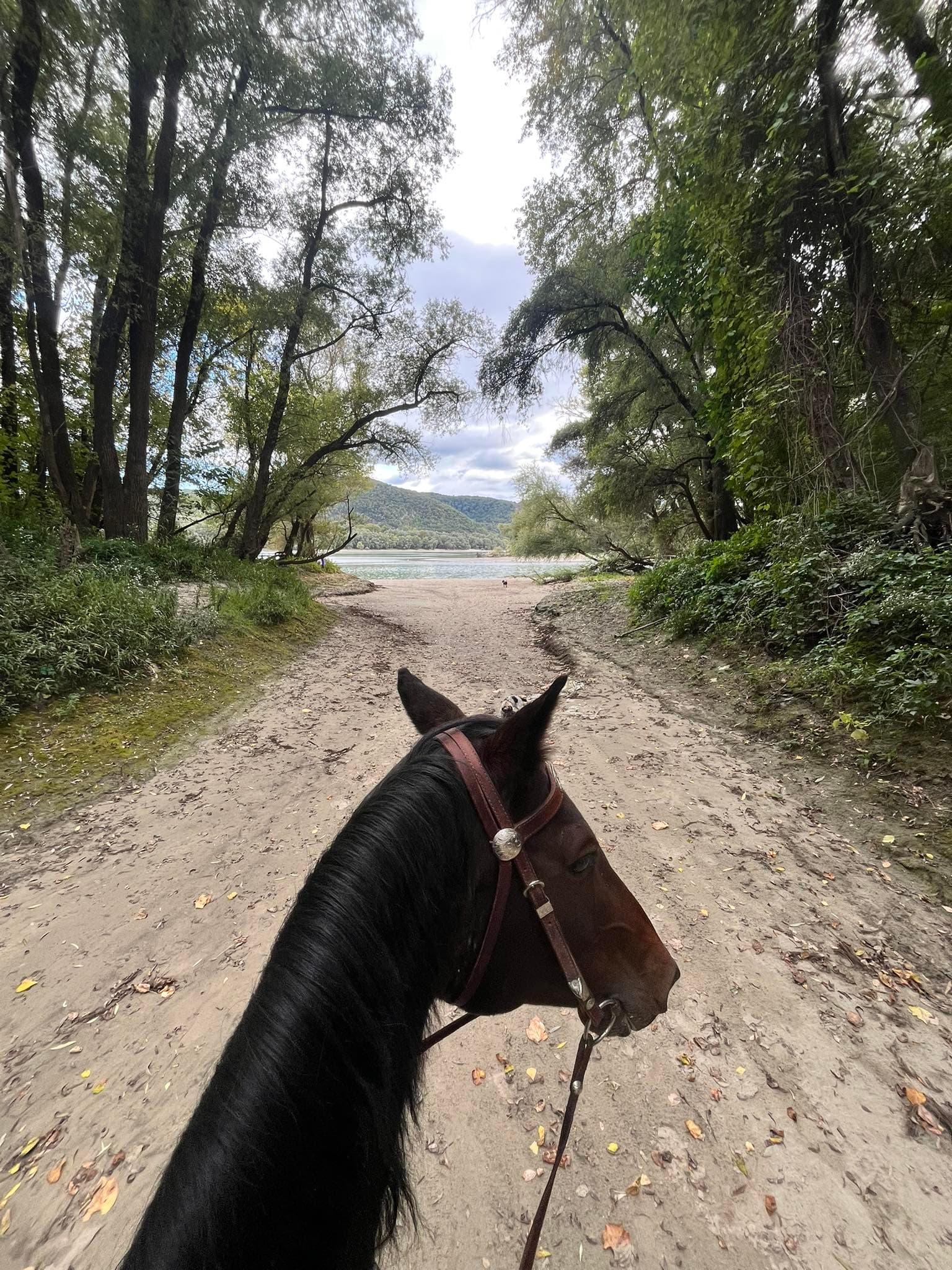 Lovastúrák a Nomád Bár lovasudvarában